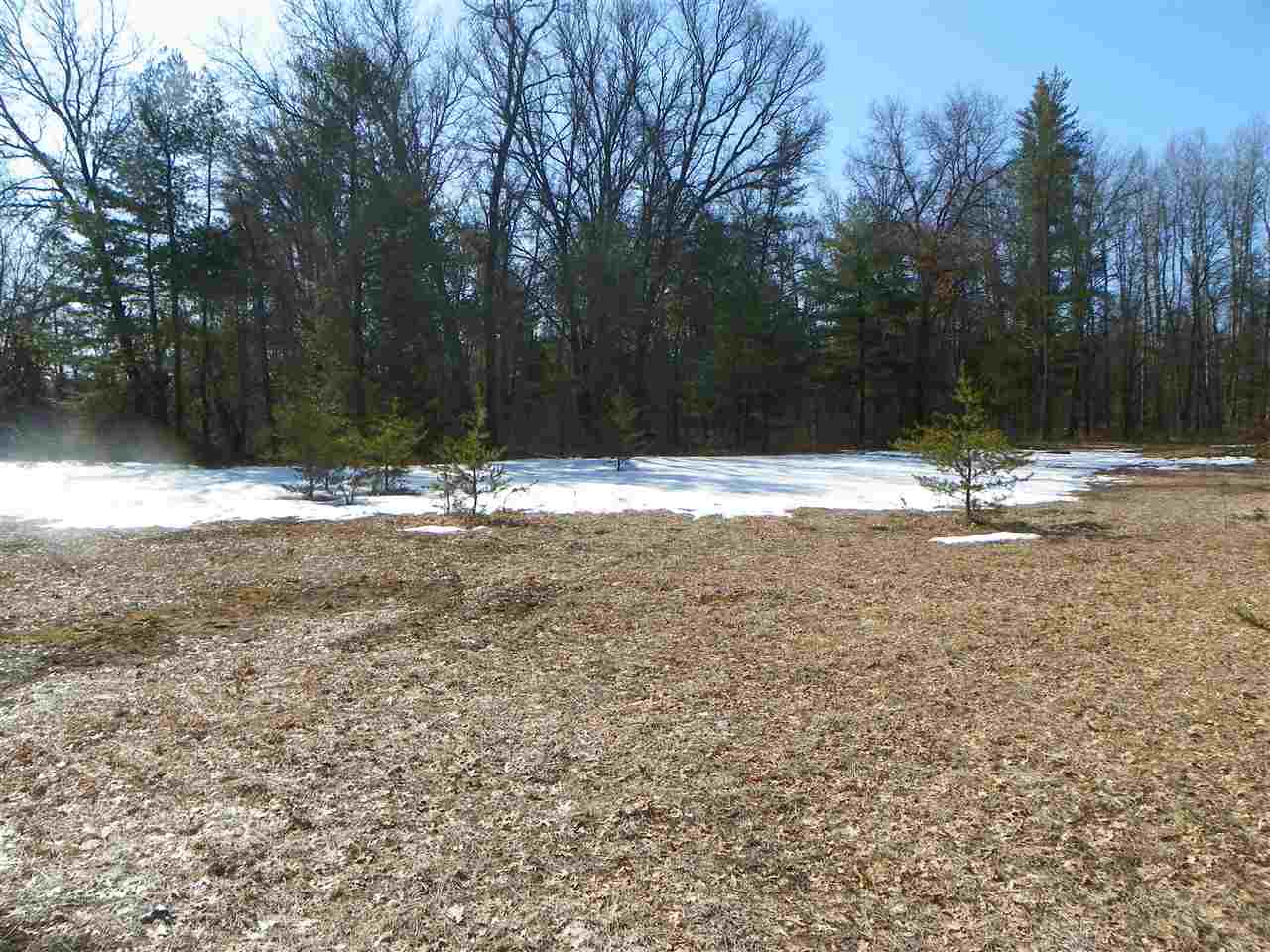 Tbd Tbd Pine Marion, MI 49665 - Photo 8 of 18