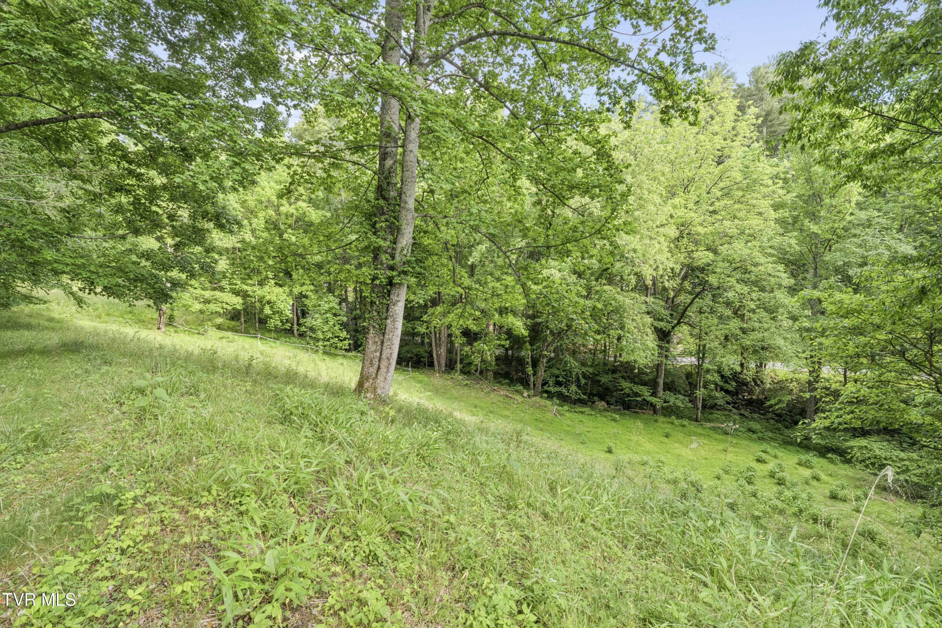 128 Lum McIntosh Road Erwin, TN 37650 - Photo 77 of 106 LumMc--59