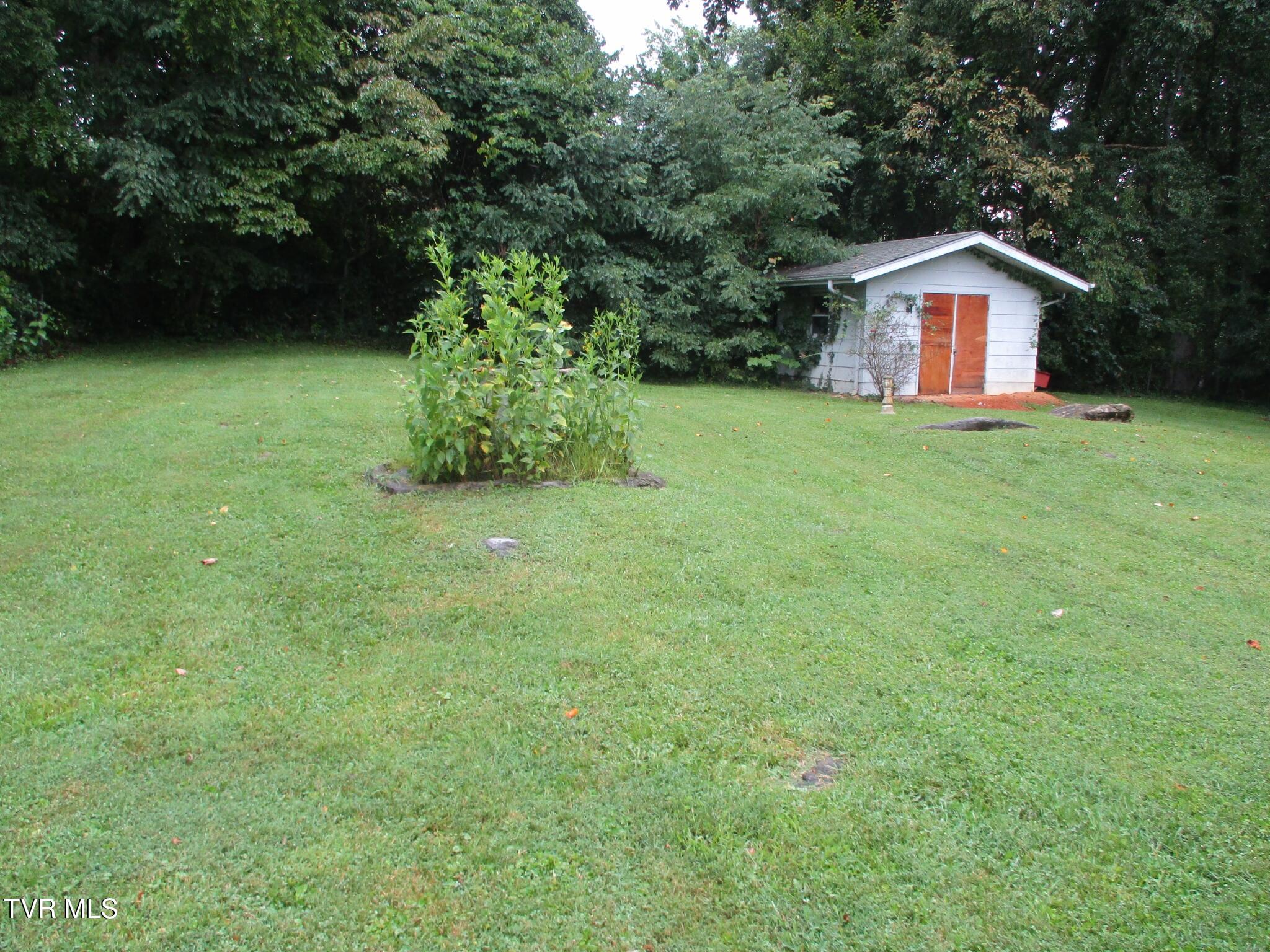 213 Edgefield Road Bristol, TN 37620 - Photo 8 of 20 008 IMG_9698