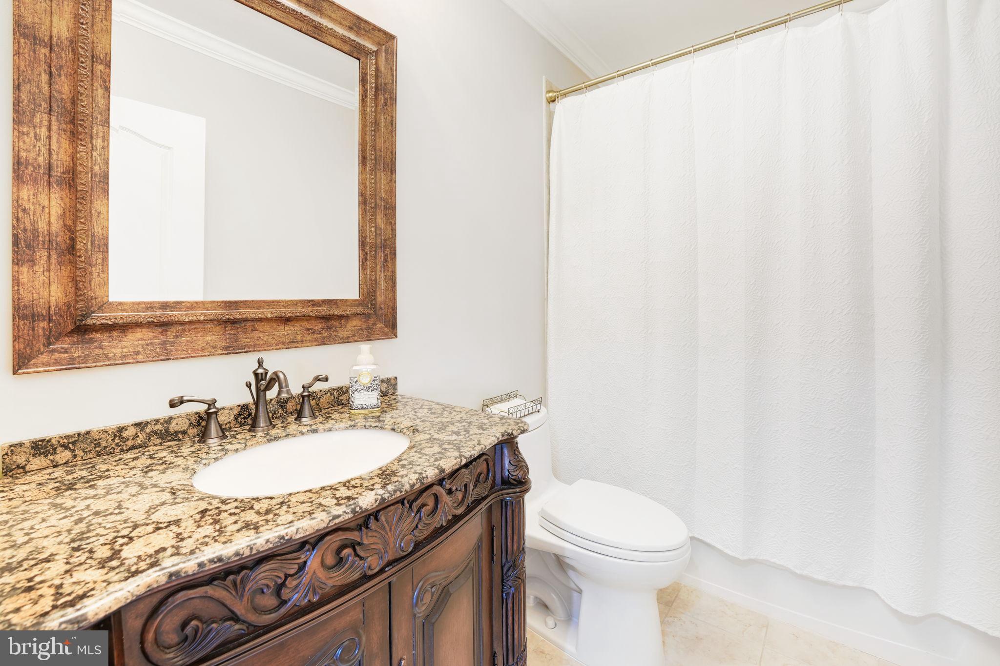 9722 Arnon Chapel Road Great Falls, VA 22066 - Photo 56 of 129