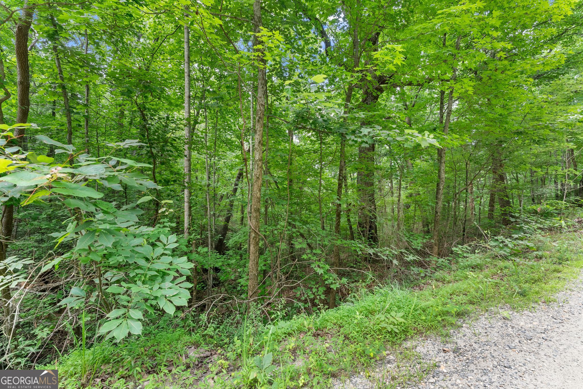 0 Wauka Ridge Road Clermont, GA 30527 - Photo 5 of 32