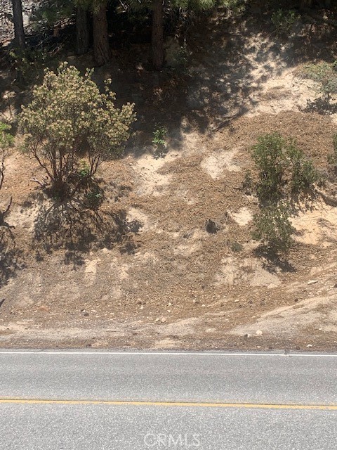 27346 North Bay Road Lake Arrowhead, CA 92352 - Photo 3 of 4 a close up of a tree