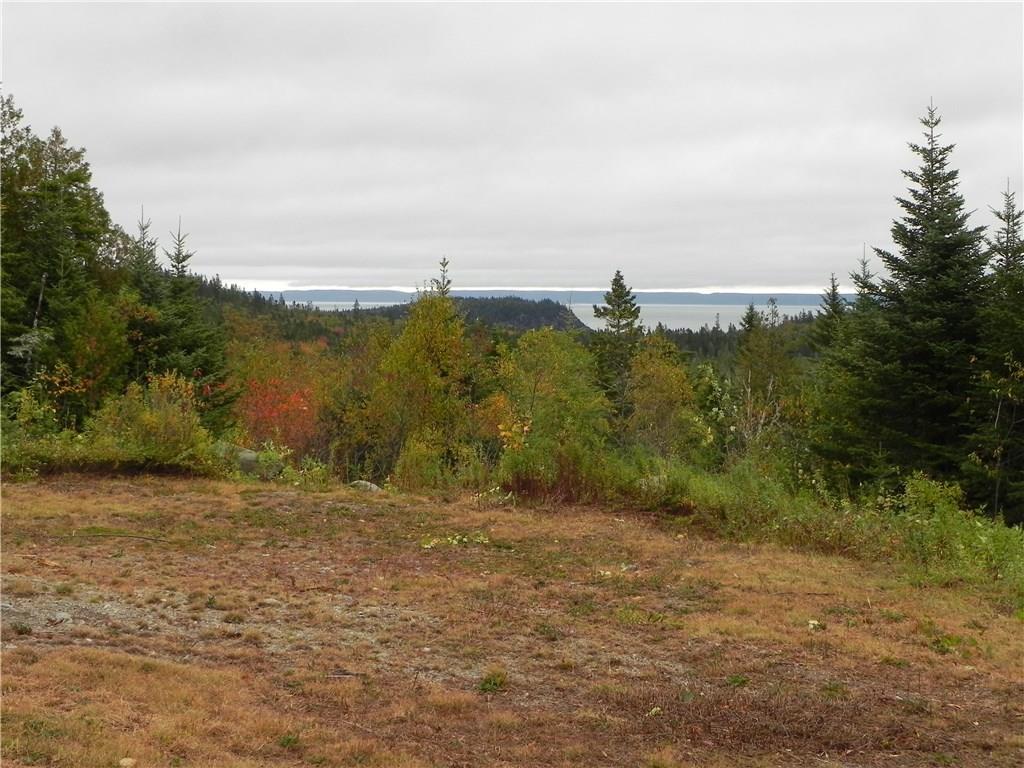 Lot 52-54 Dixie Road Lubec, ME 04652 - Photo 4 of 8 Photo