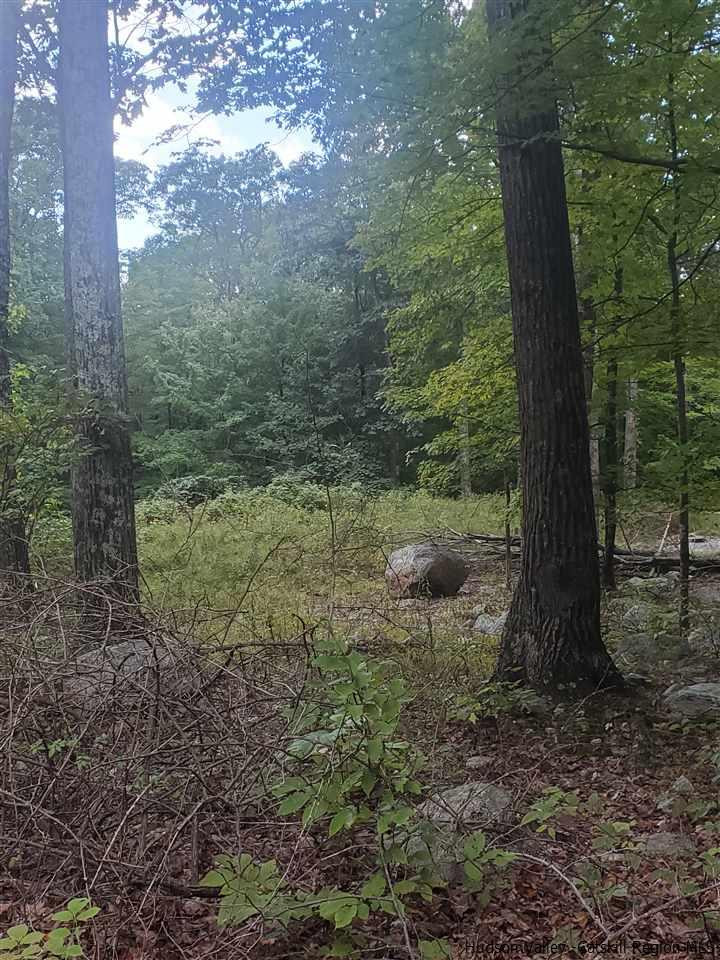 119 Sheldon Road Pine Bush, NY 12566 - Photo 18 of 23 a view of a yard