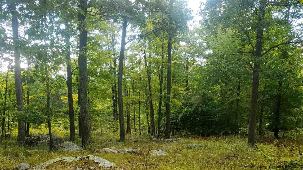 119 Sheldon Road Pine Bush, NY 12566 - Photo 21 of 23 a view of outdoor space and yard