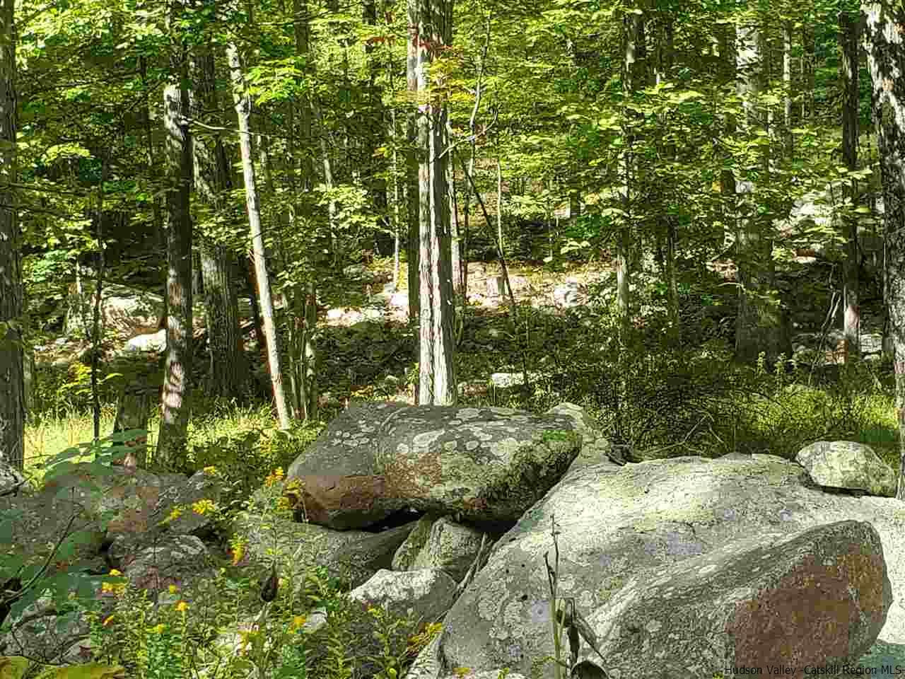 119 Sheldon Road Pine Bush, NY 12566 - Photo 6 of 23 a view of backyard with green space
