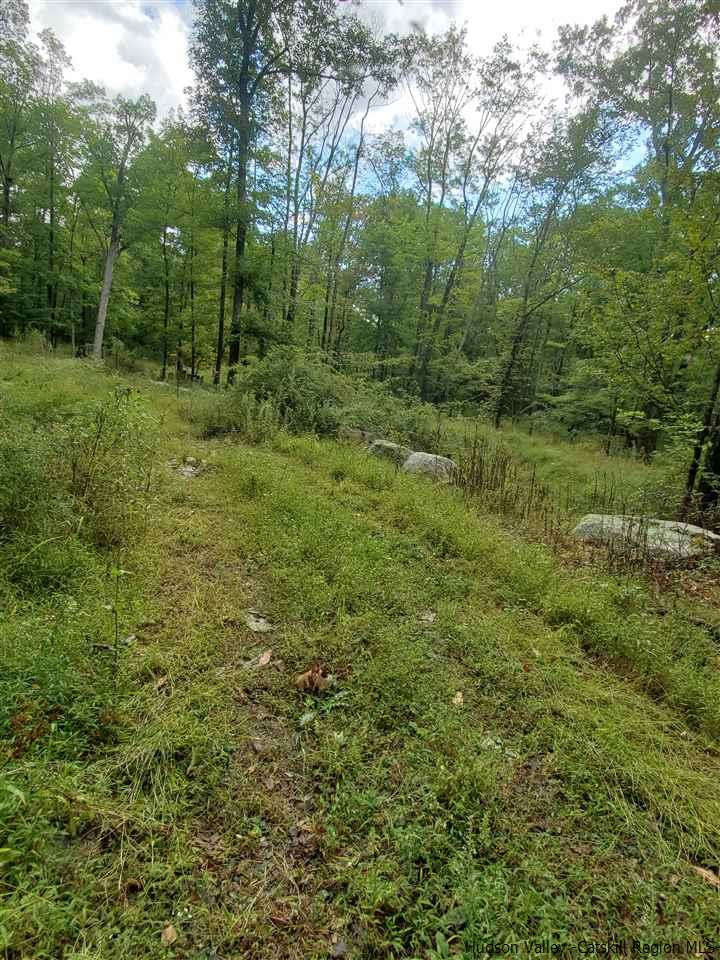 119 Sheldon Road Pine Bush, NY 12566 - Photo 7 of 23 a view of outdoor space and green field