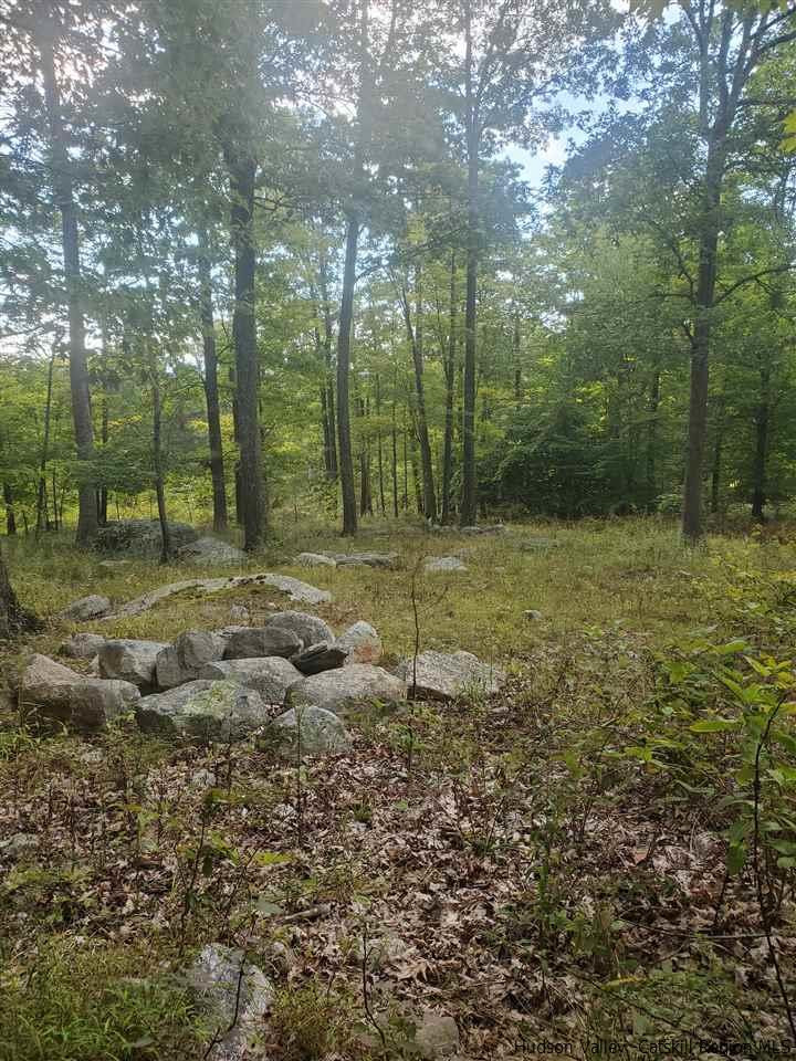 119 Sheldon Road Pine Bush, NY 12566 - Photo 8 of 23 a backyard of a house with lots of green space