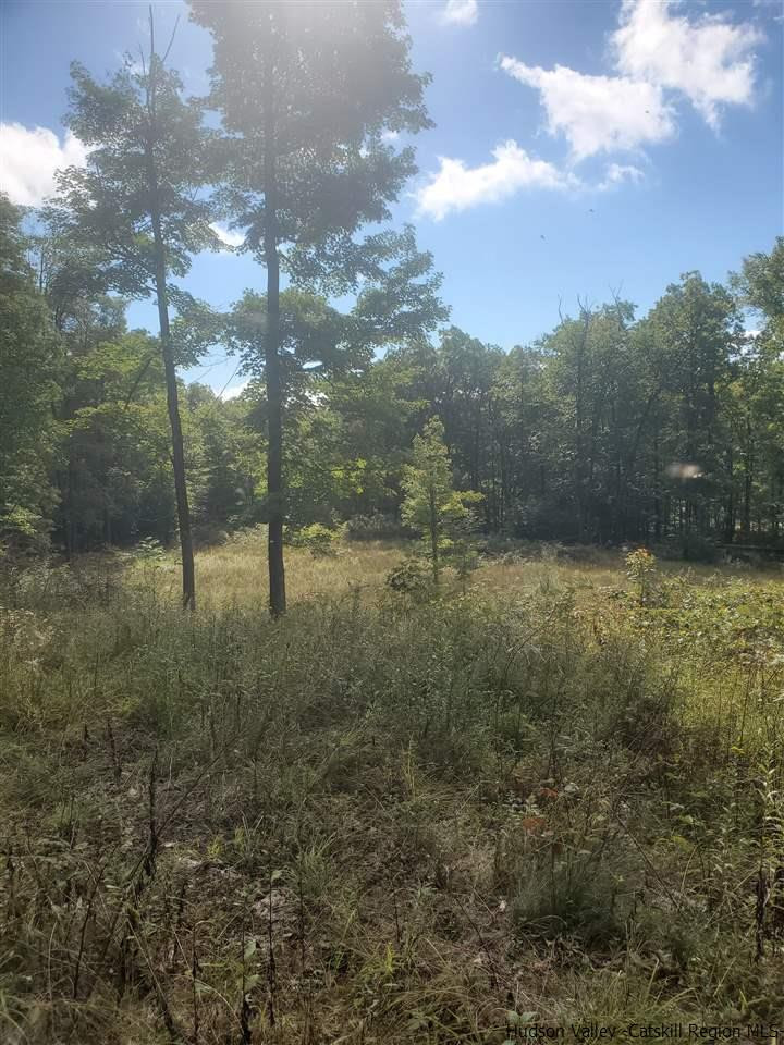 119 Sheldon Road Pine Bush, NY 12566 - Photo 9 of 23 a view of a forest with trees in the background