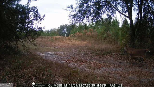 $77,184 | Tbd2 Cumbie Road, Climax, GA 39834