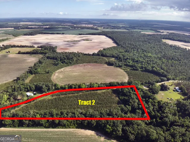 $77,184 | Tbd2 Cumbie Road, Climax, GA 39834
