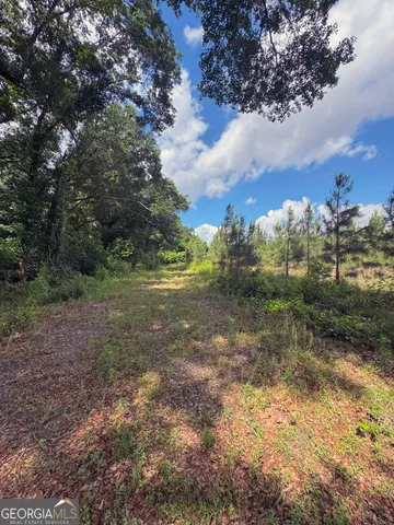$77,184 | Tbd2 Cumbie Road, Climax, GA 39834