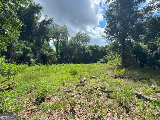 $77,184 | Tbd2 Cumbie Road, Climax, GA 39834