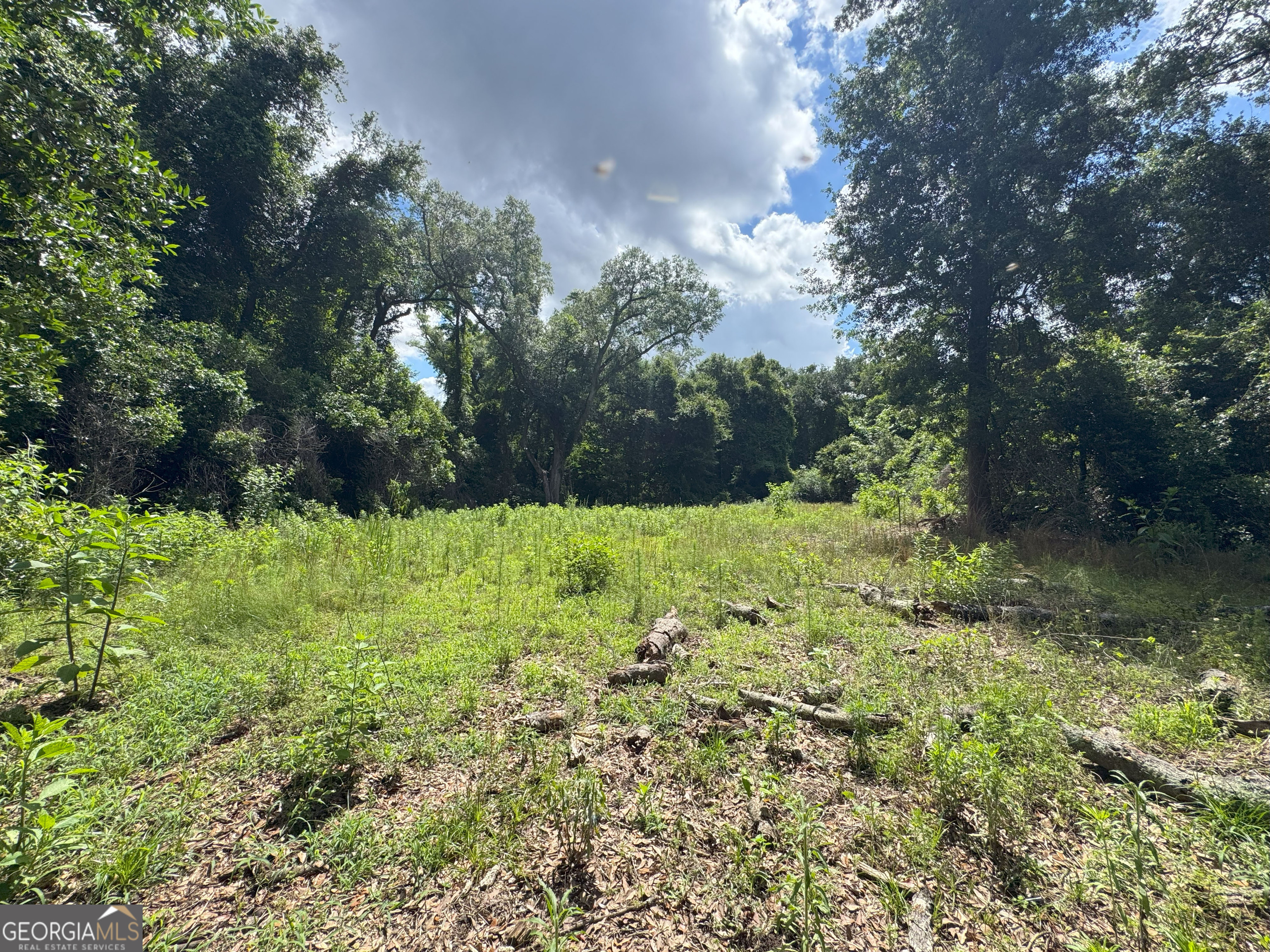 Tbd2 Cumbie Road Climax, GA 39834 - Photo 17 of 30 a view of yard with green space