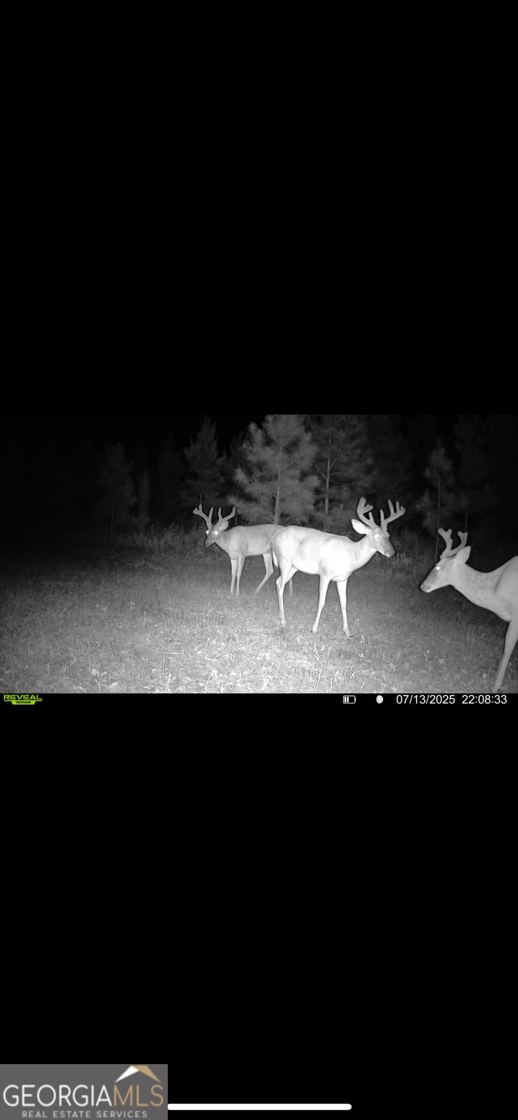 Tbd2 Cumbie Road Climax, GA 39834 - Photo 28 of 30 a view of a black and white wall