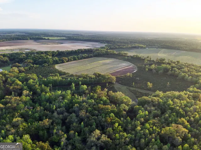 $77,184 | Tbd2 Cumbie Road, Climax, GA 39834