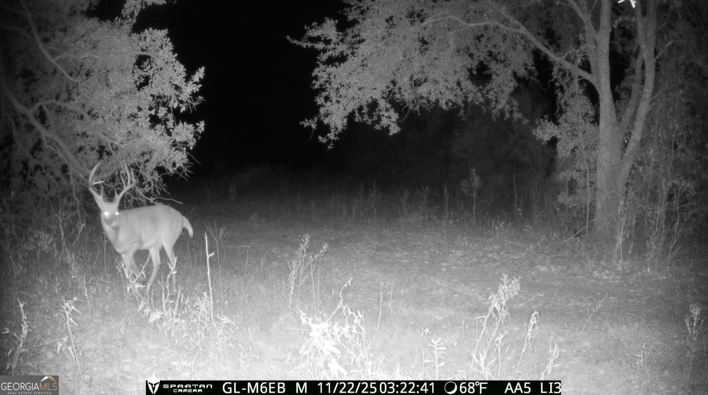 Tbd2 Cumbie Road Climax, GA 39834 - Photo 10 of 30 a vase of flowers sitting on a table