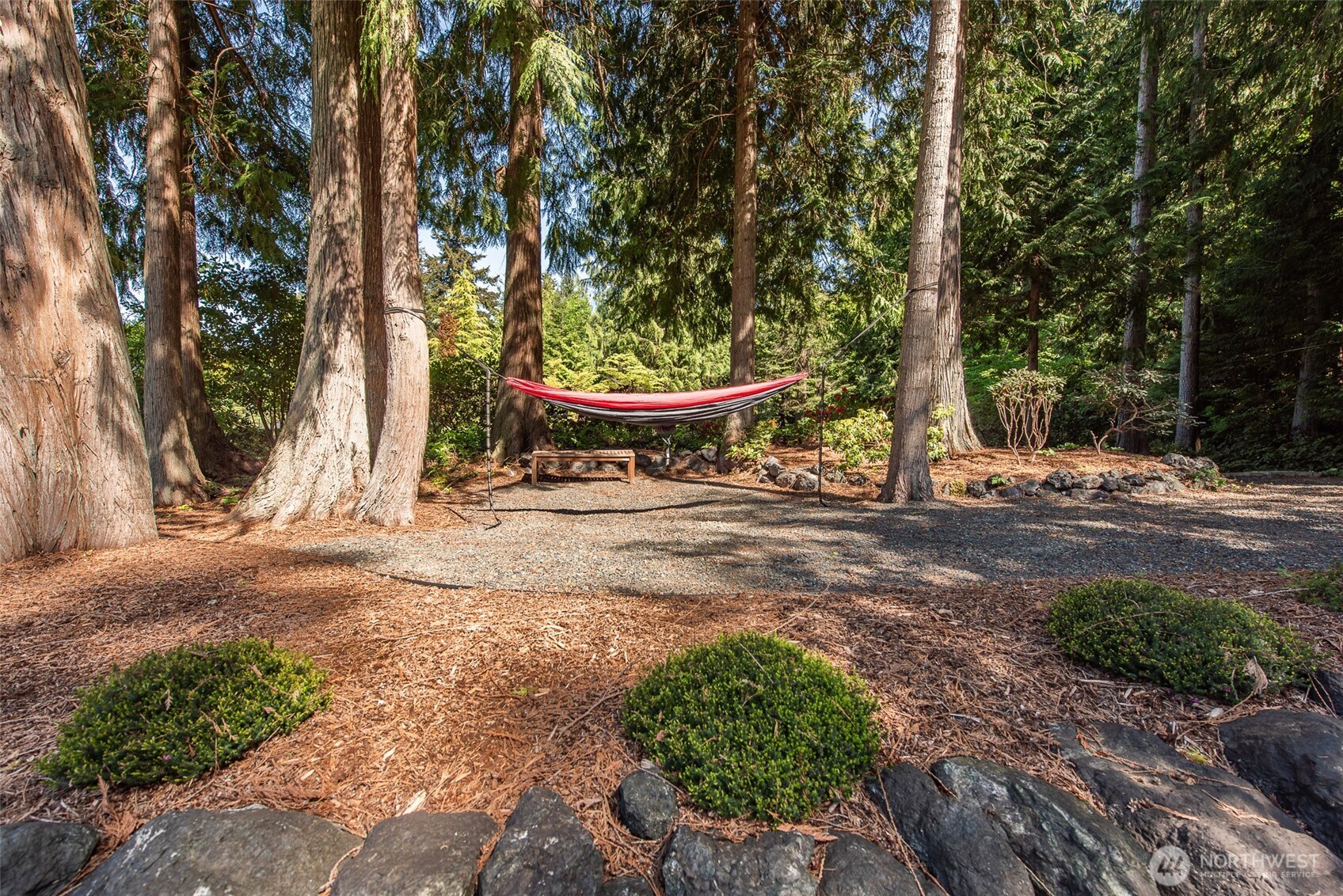 1544 Mt Pleasant Road Port Angeles, WA 98362 - Photo 35 of 39 a view of a backyard with large trees