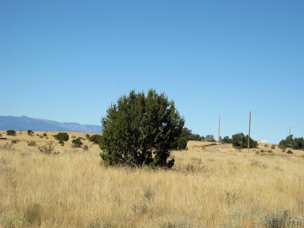 Lot 101 Turkey Ridge Ranch Walsenburg, CO 81089 - Photo 40 of 47