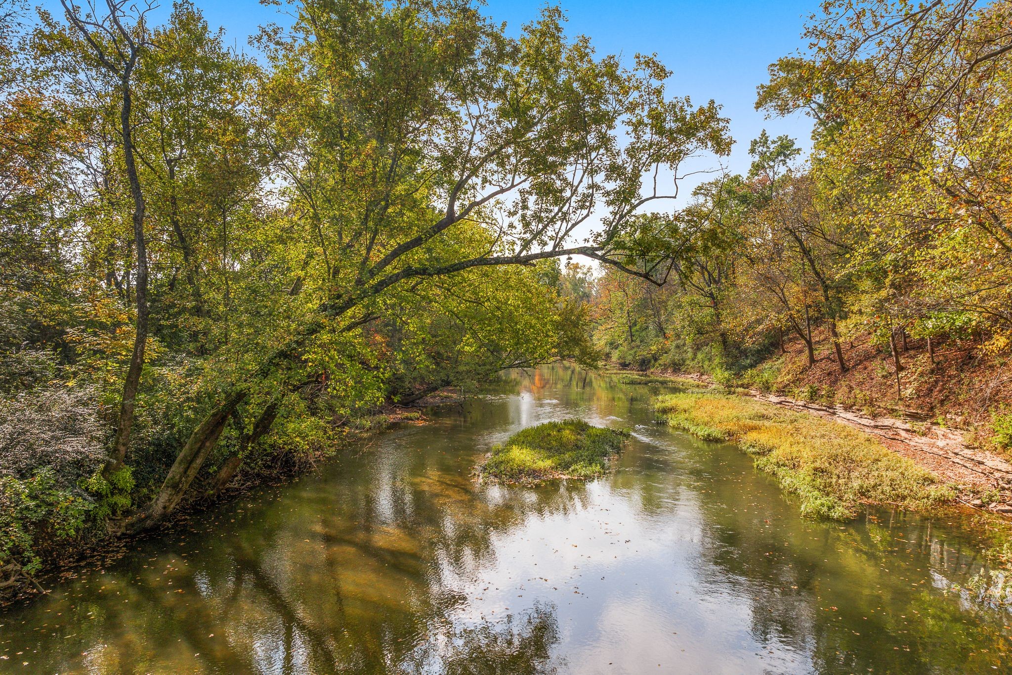 2536 Old Natchez Trace Franklin, TN 37069 - Photo 18 of 90