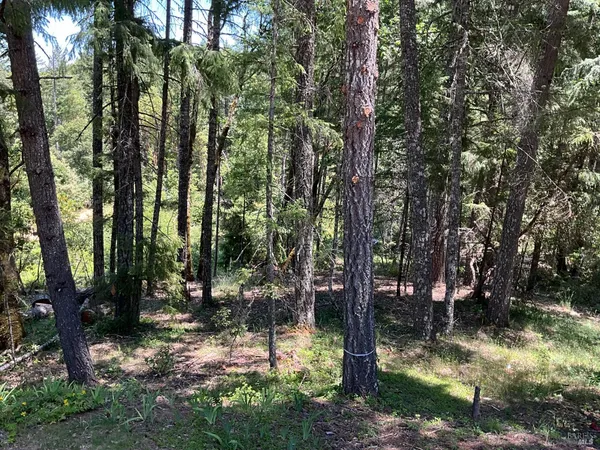 a view of outdoor space with lots of trees