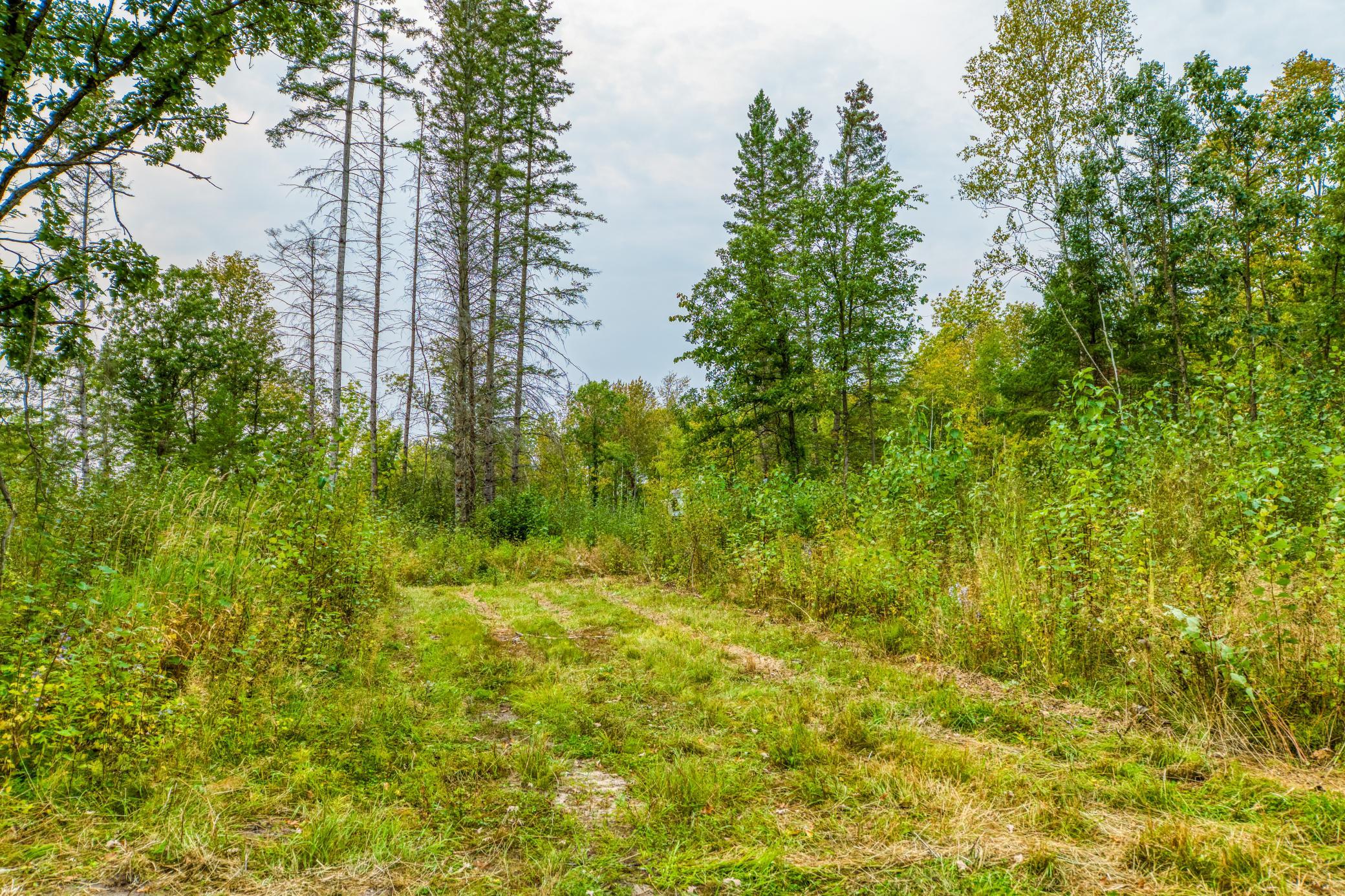 12479 Battle Road Northeast Blackduck, MN 56630 - Photo 28 of 37 Gallery Image 28