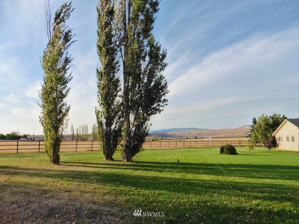 261 Watt Canyon Road Thorp, WA 98946 - Photo 14 of 19 Gallery Image 14