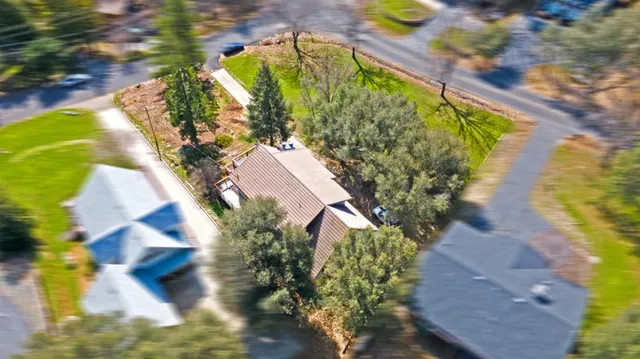 a view of banana tree