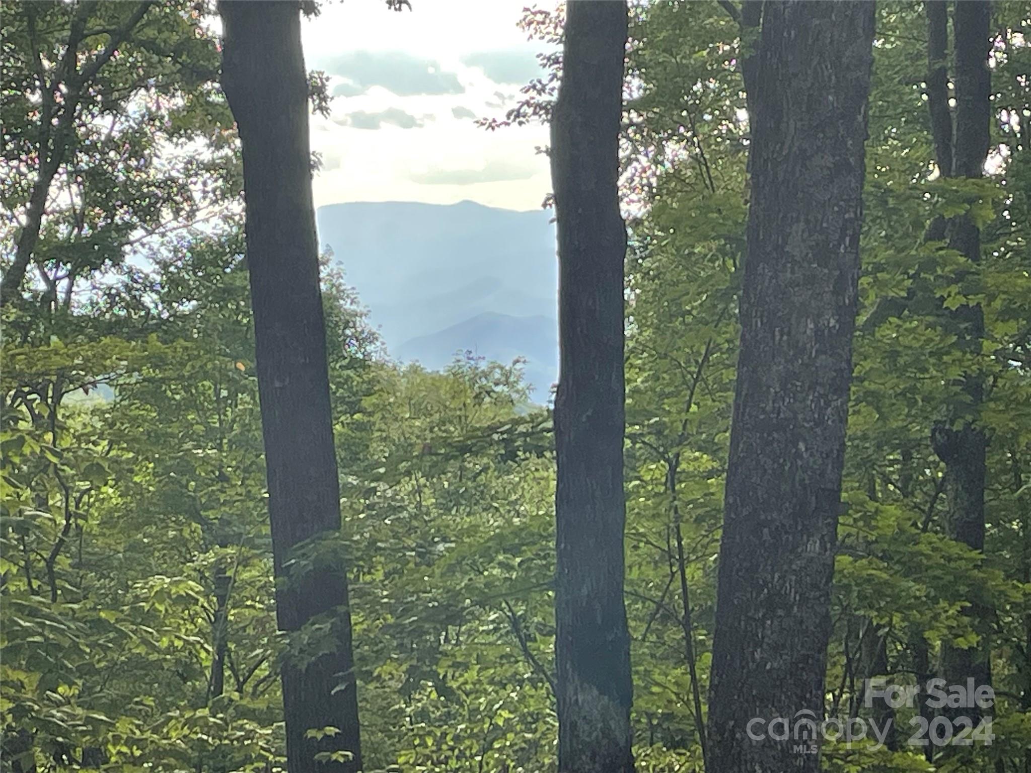 198 Corkscrew Way, Unit 198 Sylva, NC 28779 - Photo 2 of 20 a view of a forest from a window
