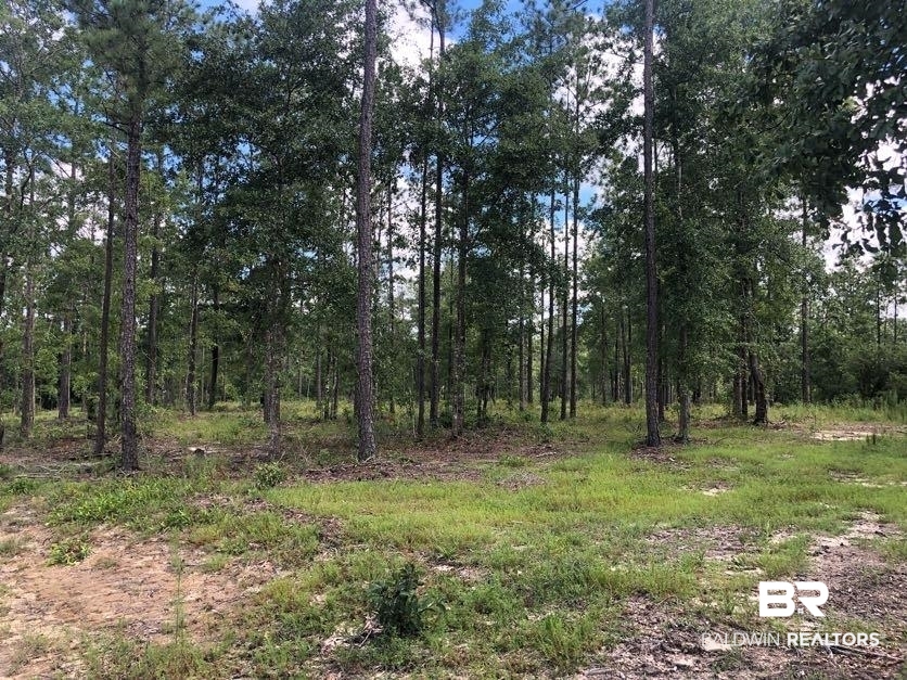 12359 Red Hill Rd Extension Bay Minette, AL 36507 - Photo 4 of 16