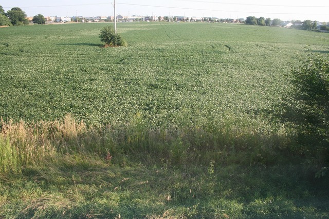 287 Springbrook Trail South Oswego, IL 60543 - Photo 12 of 14 a view of a field with an ocean view