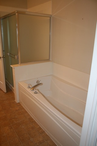 287 Springbrook Trail South Oswego, IL 60543 - Photo 8 of 14 a bathroom with a bathtub