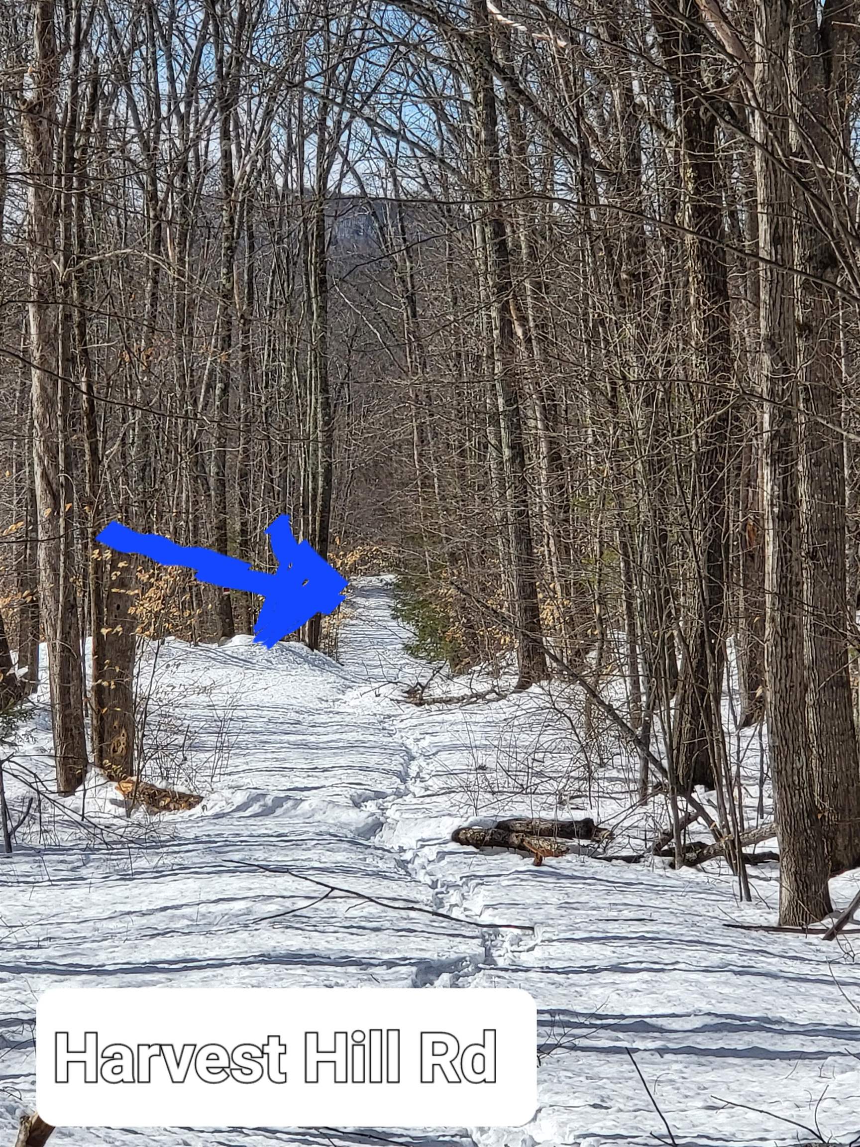 11 Sawtooth Road Gilmanton, NH 03237 - Photo 4 of 8