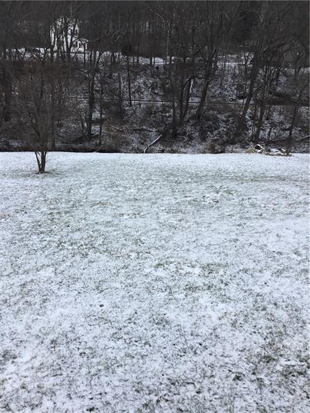 335 Craigsville Road Worthington, PA 16262 - Photo 22 of 25 Large back yard.