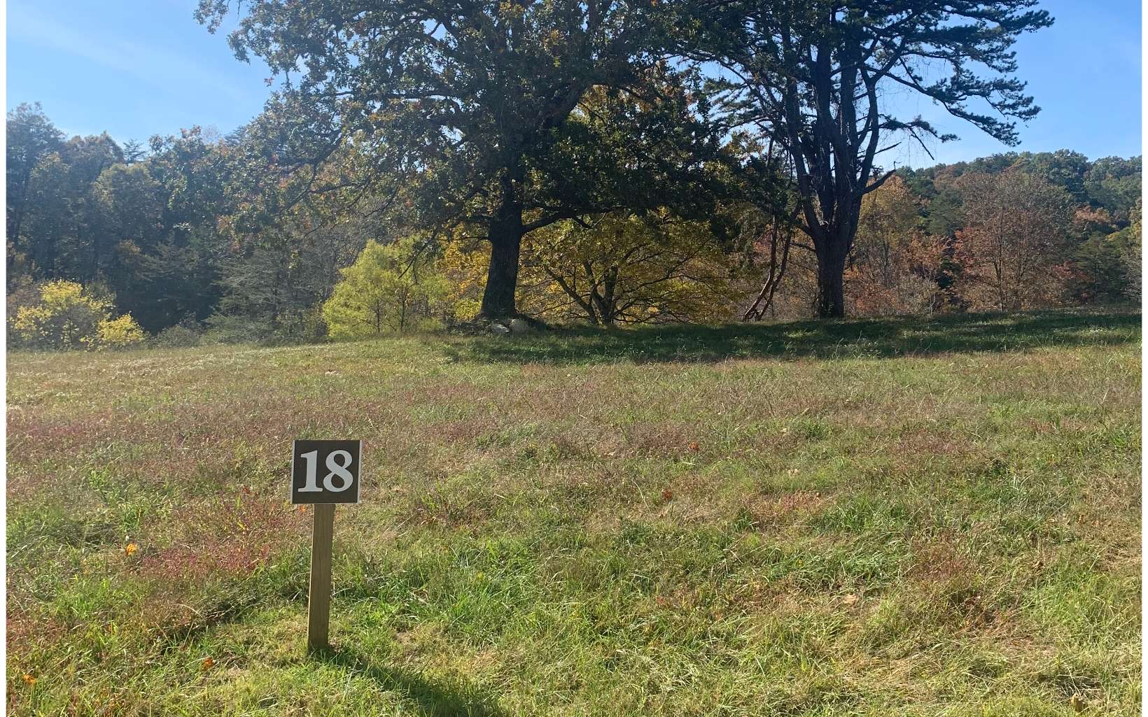Lot18 Lot18 Bearden Farm Blue Ridge, GA 30513 - Photo 2 of 6 Additional View