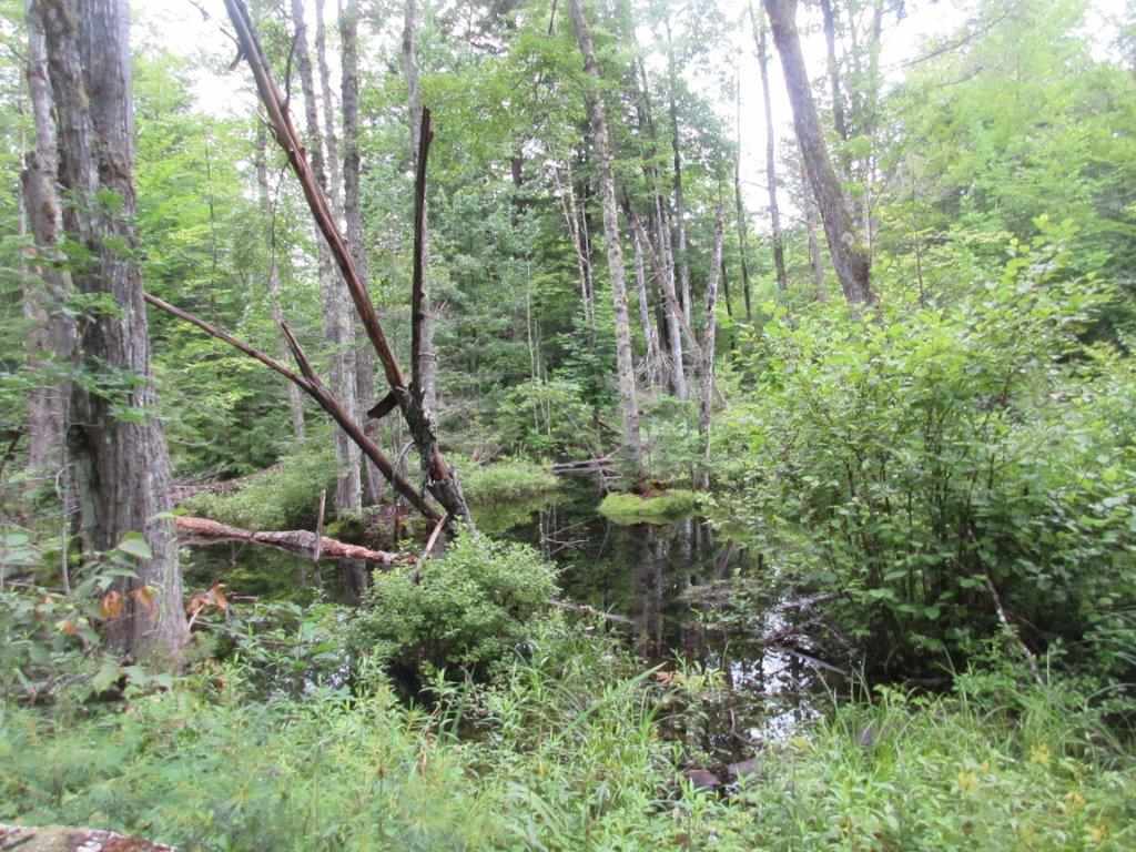 1 Island Road Fryeburg, ME 04037 - Photo 4 of 6 Gallery Image 4