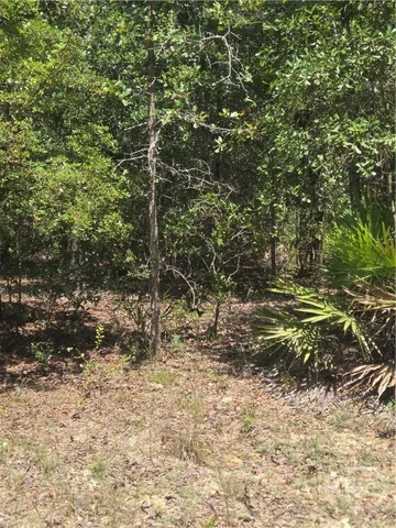 $52,000 | 2-acres Jones Road, Glennville, GA 30427