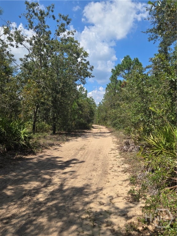 2-acres Jones Road Glennville, GA 30427 - Photo 4 of 6
