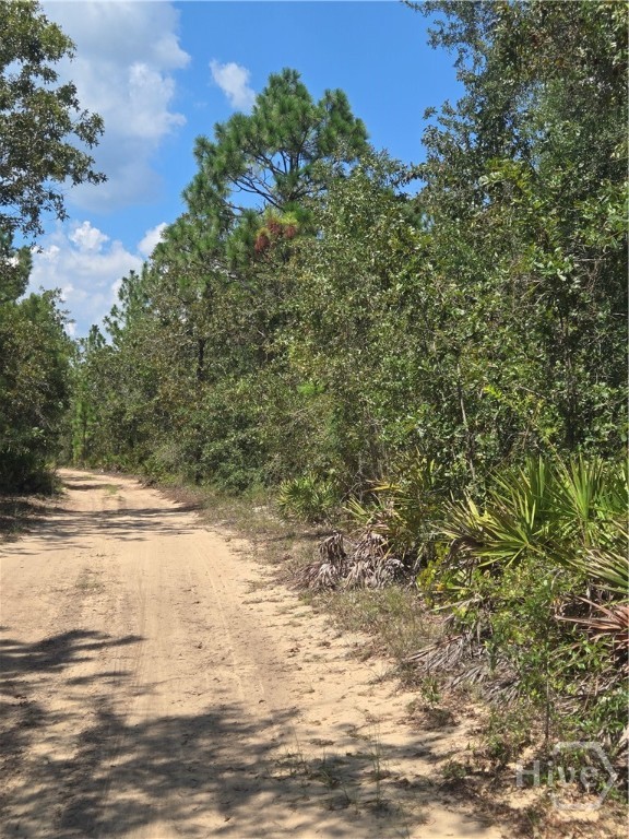 2-acres Jones Road Glennville, GA 30427 - Photo 6 of 6