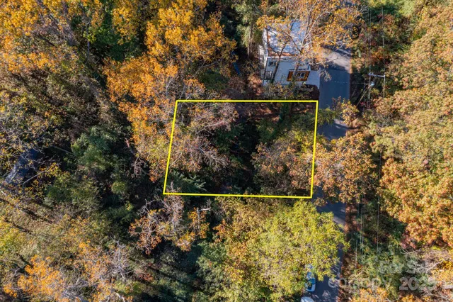 a view of a forest with lots of trees