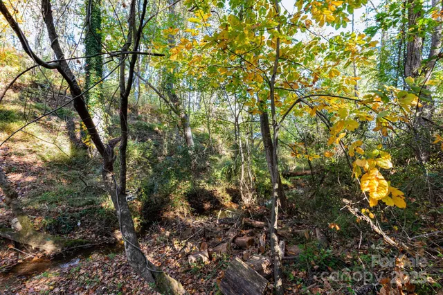 a sign that is sitting in front of a tree