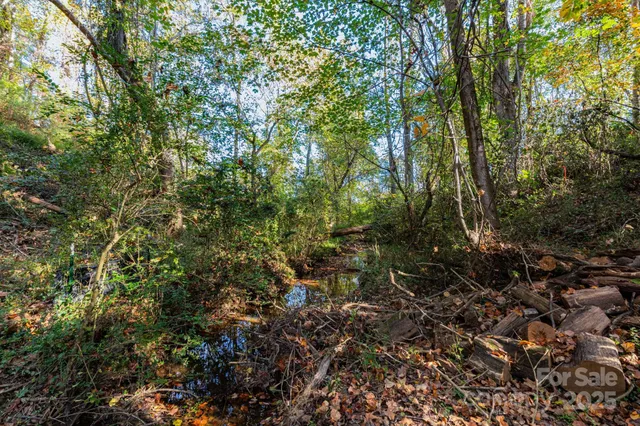 a view of house with a yard