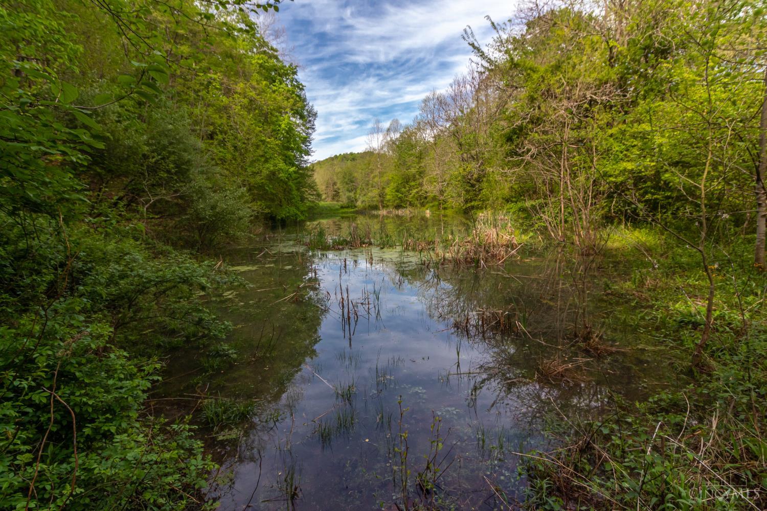 2432 Johnson Run Road Stout, OH 45684 - Photo 27 of 57 Gallery Image 27