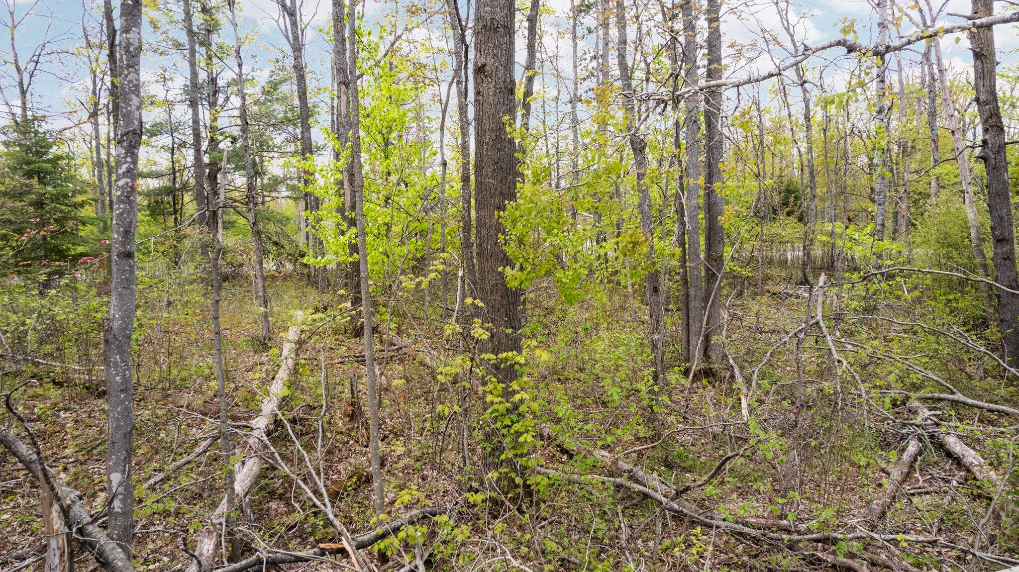 491 Co Road Lewiston, MI 49756 - Photo 11 of 14 Gallery Image 11