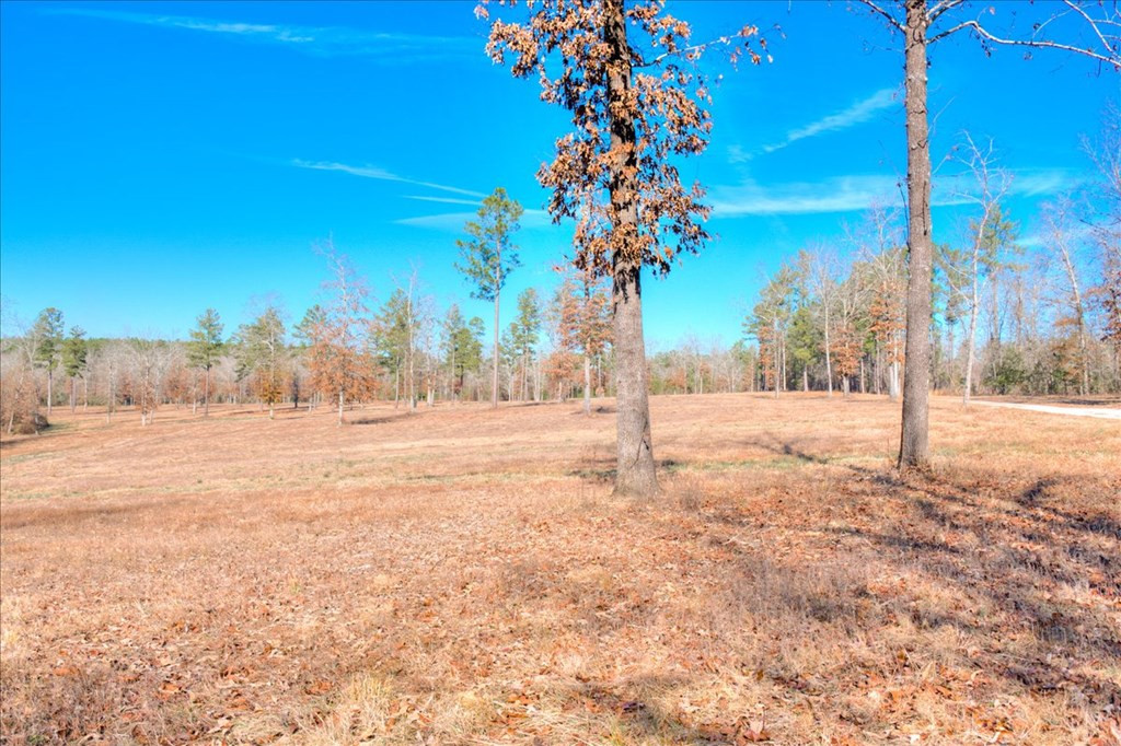 861 Colbert Bridge Road Aiken, SC 29803 - Photo 51 of 52