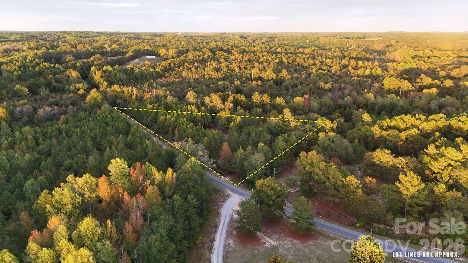 0 Steen Road Mount Croghan, SC 29727 - Photo 5 of 19 a view of city and green space