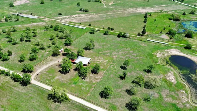 a view of a garden with a flower
