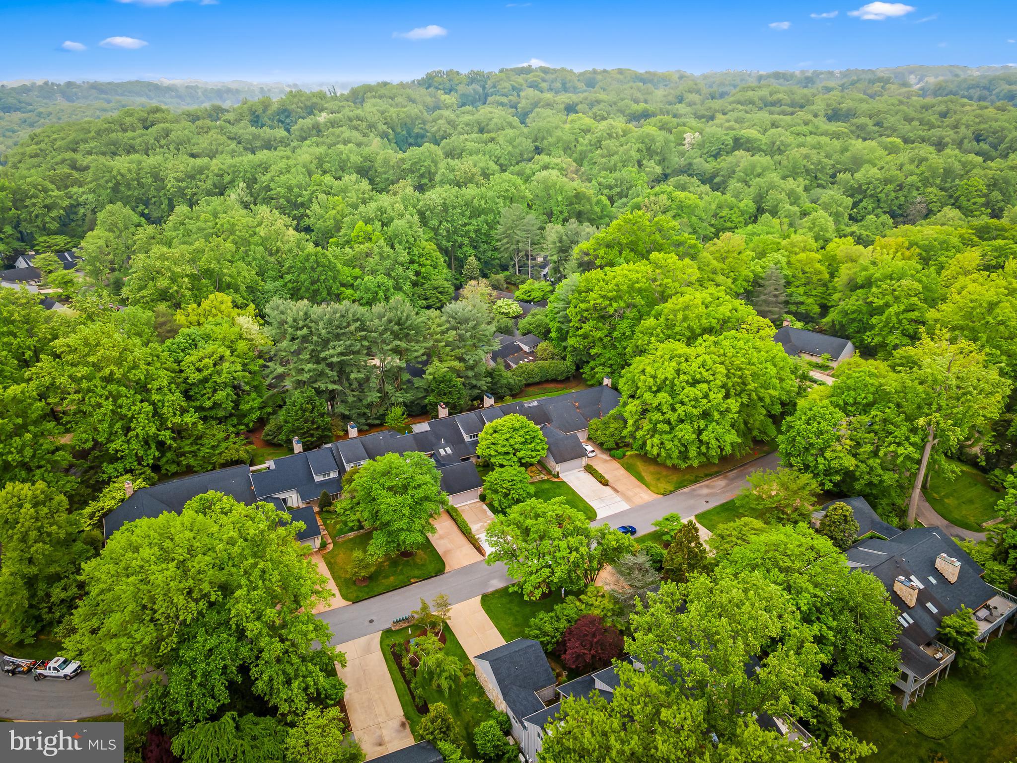 2423 Still Forest Road Pikesville, MD 21208 - Photo 52 of 62 Gallery Image 52