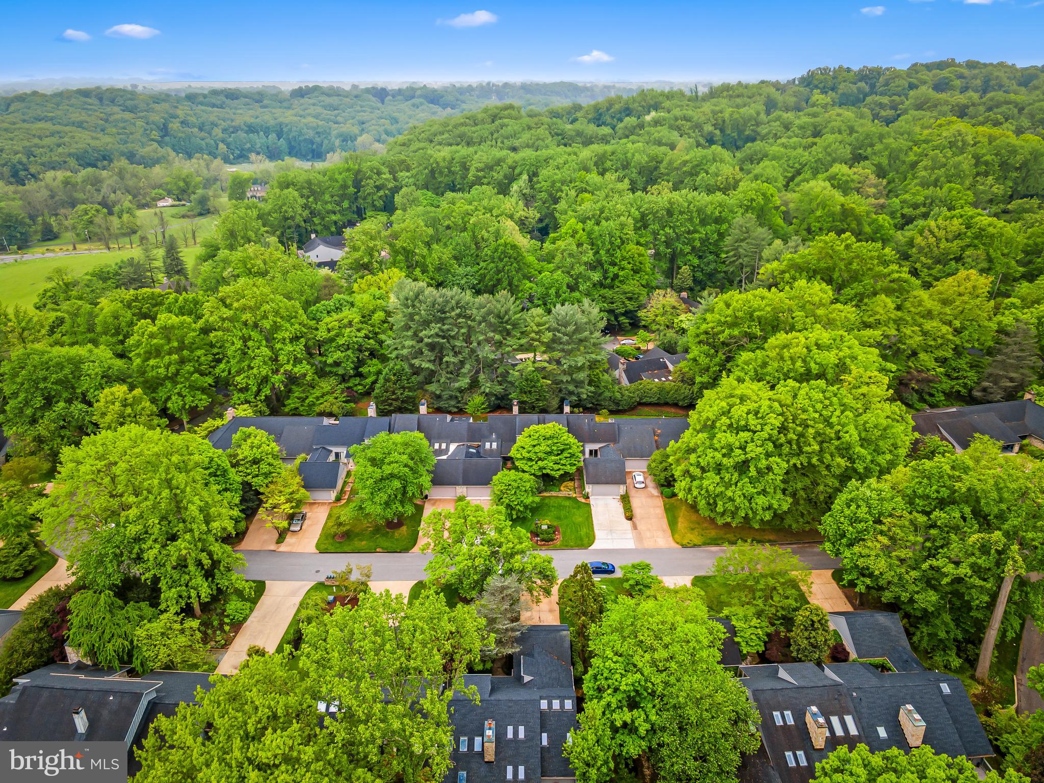 2423 Still Forest Road Pikesville, MD 21208 - Photo 53 of 62 Gallery Image 53