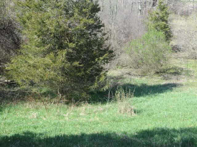 Cement City Road, Unit 16000 Brooklyn, MI 49230 - Photo 3 of 9